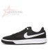 Nike Adversary Premium SB - Black and White