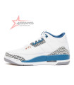 Air Jordan 3 Retro "Wizards"