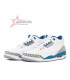 Air Jordan 3 Retro "Wizards"