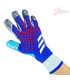 Adidas Goalkeeper Gloves