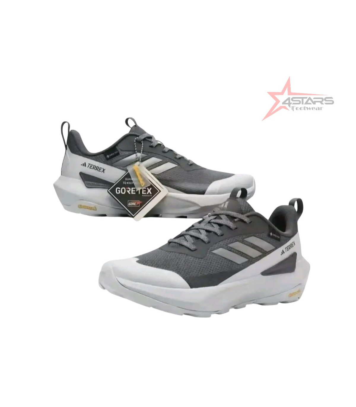 Adidas Terrex GORE-TEX Trail Hiking Shoes