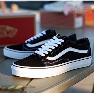 Vans Skate Shoes